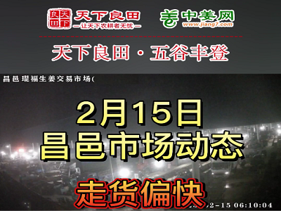 2月15日 昌邑生姜交易实况（下货快价格涨） ()
