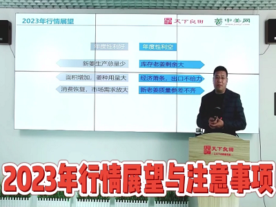 2023年行情展望与注意事项 ()