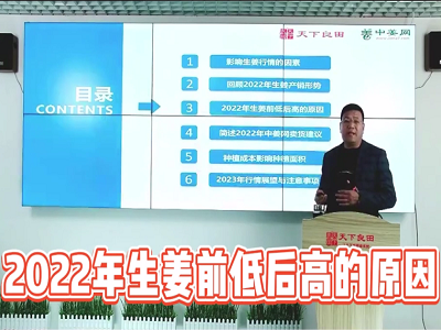 2022年生姜前低后高的原因 ()