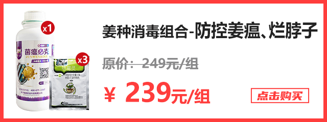 姜种消毒组合(2)