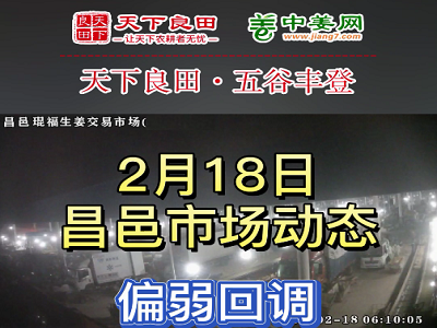 2月18日 昌邑生姜交易实况（价格回调） ()