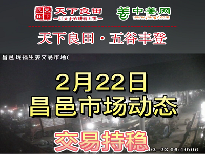 2月22日 昌邑生姜交易实况（行情平稳） ()