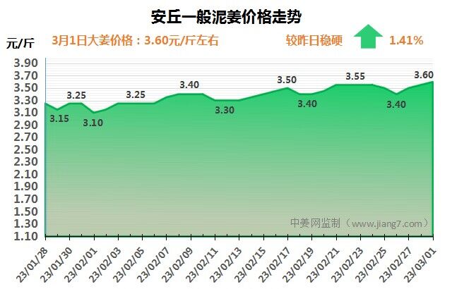 安丘下午