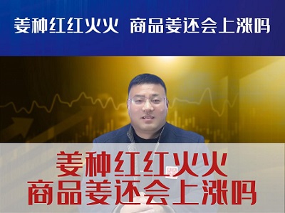 姜种红红火火商品姜还会上涨吗？ ()