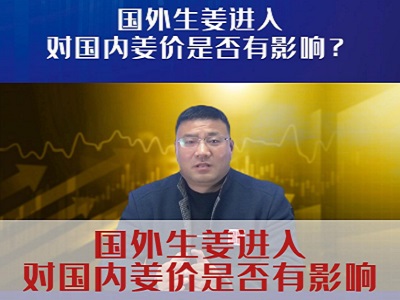 国外生姜进入对国内姜价是否有影响 ()