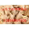 山东姜种 带芽姜种出售13864964308
