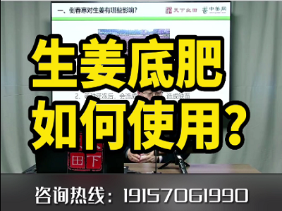 生姜底肥如何使用？ ()