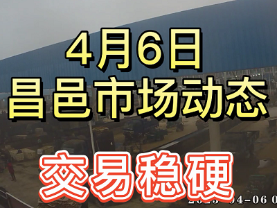 4月6日 昌邑生姜交易实况（价格稳硬） ()