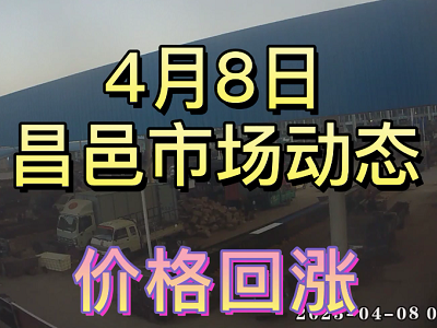 4月8日 昌邑生姜交易实况（价格回涨） ()