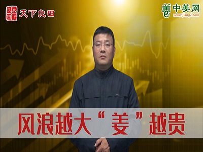 风浪越大“姜”越贵 ()