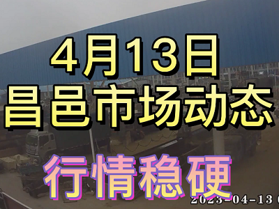 4月13日 昌邑生姜交易实况（行情稳硬） ()