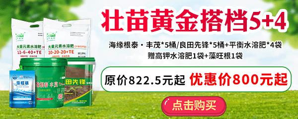 壮苗黄金搭档5+4