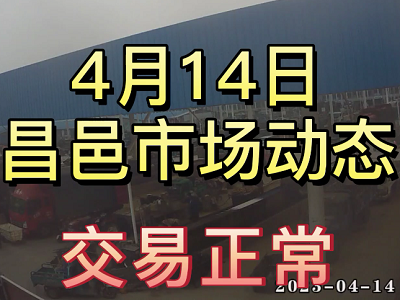 4月14日 昌邑生姜交易实况（行情平稳） ()