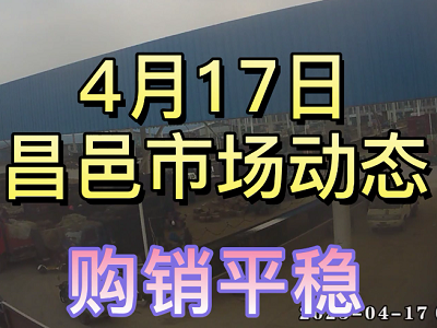 4月17日 昌邑生姜交易实况（购销平稳） ()