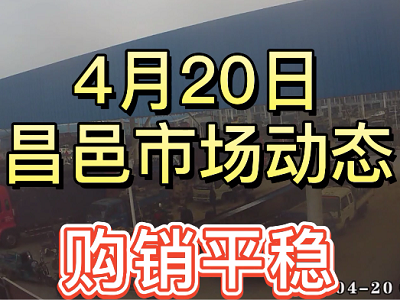 4月20日 昌邑生姜交易实况（购销平稳） ()