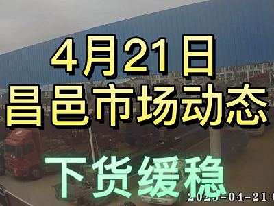 4月21日 昌邑生姜交易实况（下货缓稳） ()