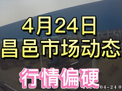 4月24日 昌邑生姜交易实况（行情偏硬） ()