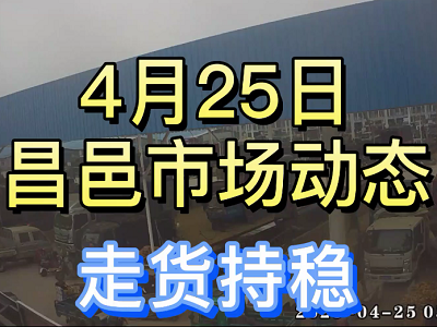 4月25日 昌邑生姜交易实况（走货平稳） ()