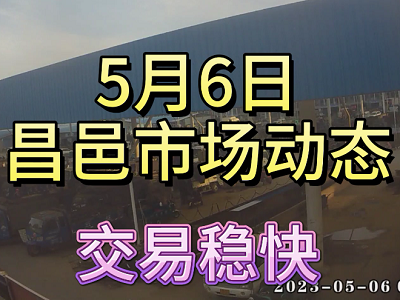 5月6日 昌邑生姜交易实况（交易稳快） ()