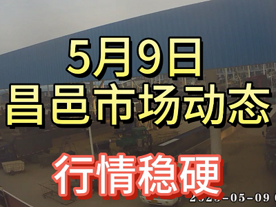 5月9日 昌邑生姜交易实况（行情稳硬） ()