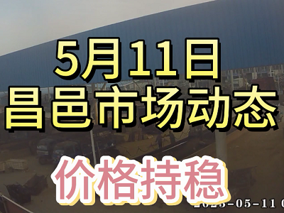 5月11日 昌邑生姜交易实况（价格持稳） ()