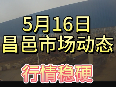 5月16日 昌邑生姜交易实况（行情稳硬） ()
