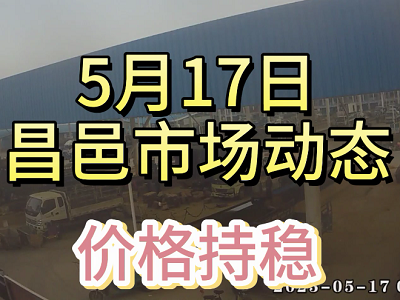 5月17日 昌邑生姜交易实况（价格持稳） ()