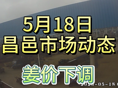 5月18日 昌邑生姜交易实况（姜价下调） ()