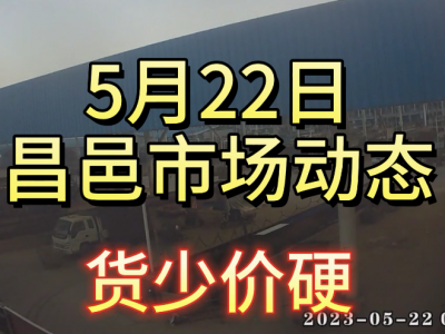 5月22日 昌邑生姜交易实况（货少价硬） ()