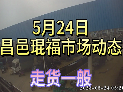 5月24日 昌邑生姜交易实况（走货一般） ()