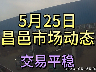 5月25日 昌邑生姜交易实况（交易平稳） ()