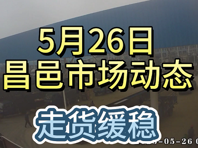 5月26日 昌邑生姜交易实况（走货缓稳） ()