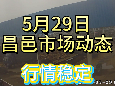5月29日 昌邑生姜交易实况（行情稳定） ()