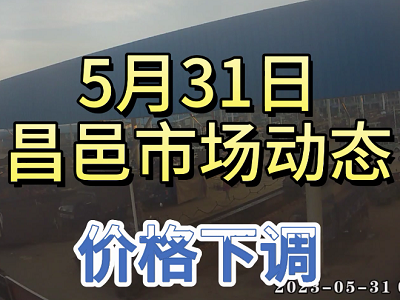 5月31日 昌邑生姜交易实况（价格下调） ()