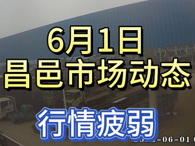 6月1日 昌邑生姜交易实况（行情疲弱） ()