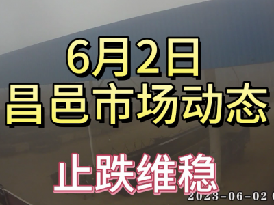 6月2日 昌邑生姜交易实况（止跌维稳） ()