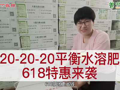 618特惠来袭--20-20-20平衡水溶肥 ()