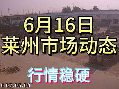 6月16日 莱州生姜交易实况（行情稳硬） ()