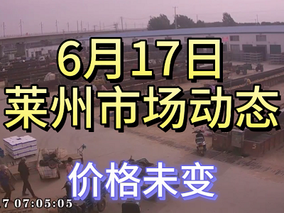 6月17日 莱州生姜交易实况（价格平稳） ()