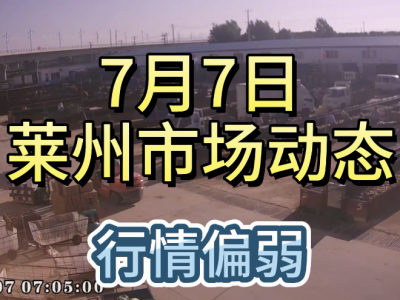 7月7日 莱州生姜交易实况（行情偏弱） ()