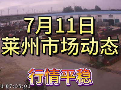 7月11日 莱州生姜交易实况（行情平稳） ()