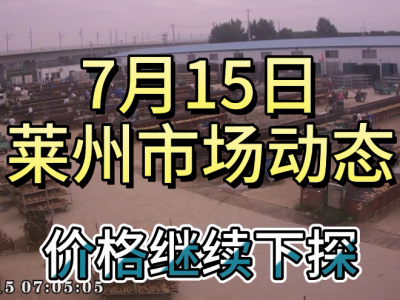 7月15日 莱州生姜交易实况（继续下探） ()