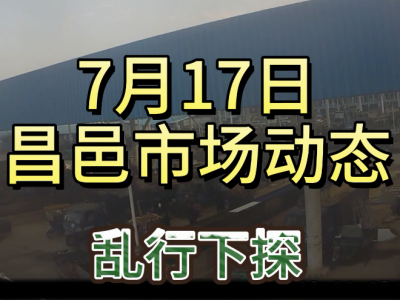 7月17日 昌邑生姜交易实况（乱行下探） ()