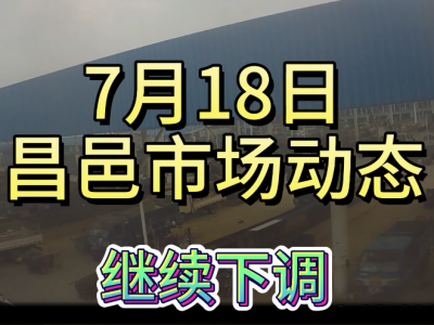 7月18日 昌邑生姜交易实况（继续下调） ()