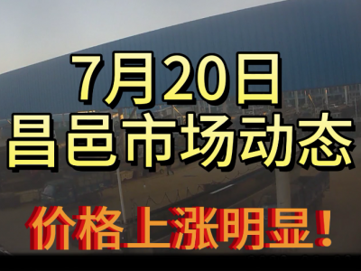 7月20日 昌邑生姜交易实况（涨价明显） ()