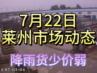 7月22日 莱州生姜交易实况（降雨货少价弱） ()