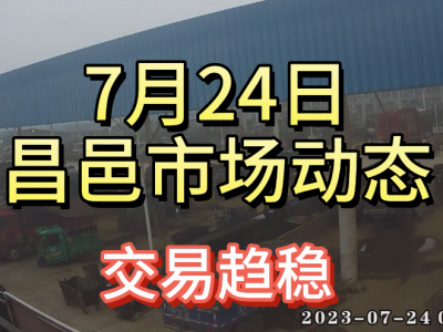 7月24日 昌邑生姜交易实况（交易趋稳） ()