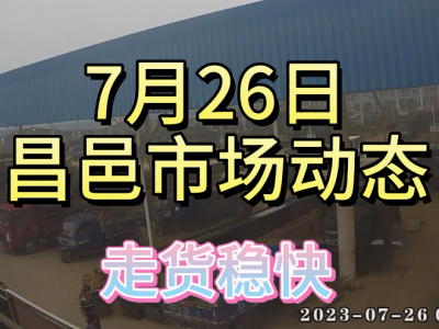 7月26日 昌邑生姜交易实况（走货稳快） ()