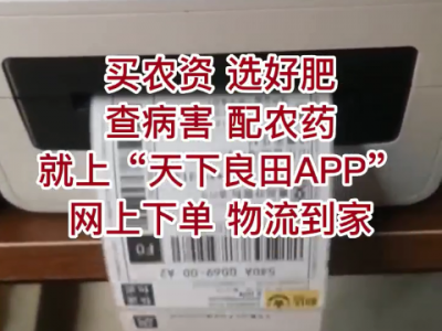 持续爆单中！！！ ()