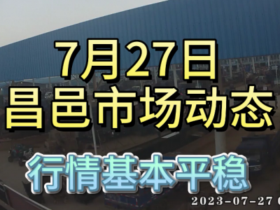7月27日 昌邑生姜交易实况（行情平稳） ()